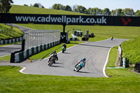 cadwell-no-limits-trackday;cadwell-park;cadwell-park-photographs;cadwell-trackday-photographs;enduro-digital-images;event-digital-images;eventdigitalimages;no-limits-trackdays;peter-wileman-photography;racing-digital-images;trackday-digital-images;trackday-photos